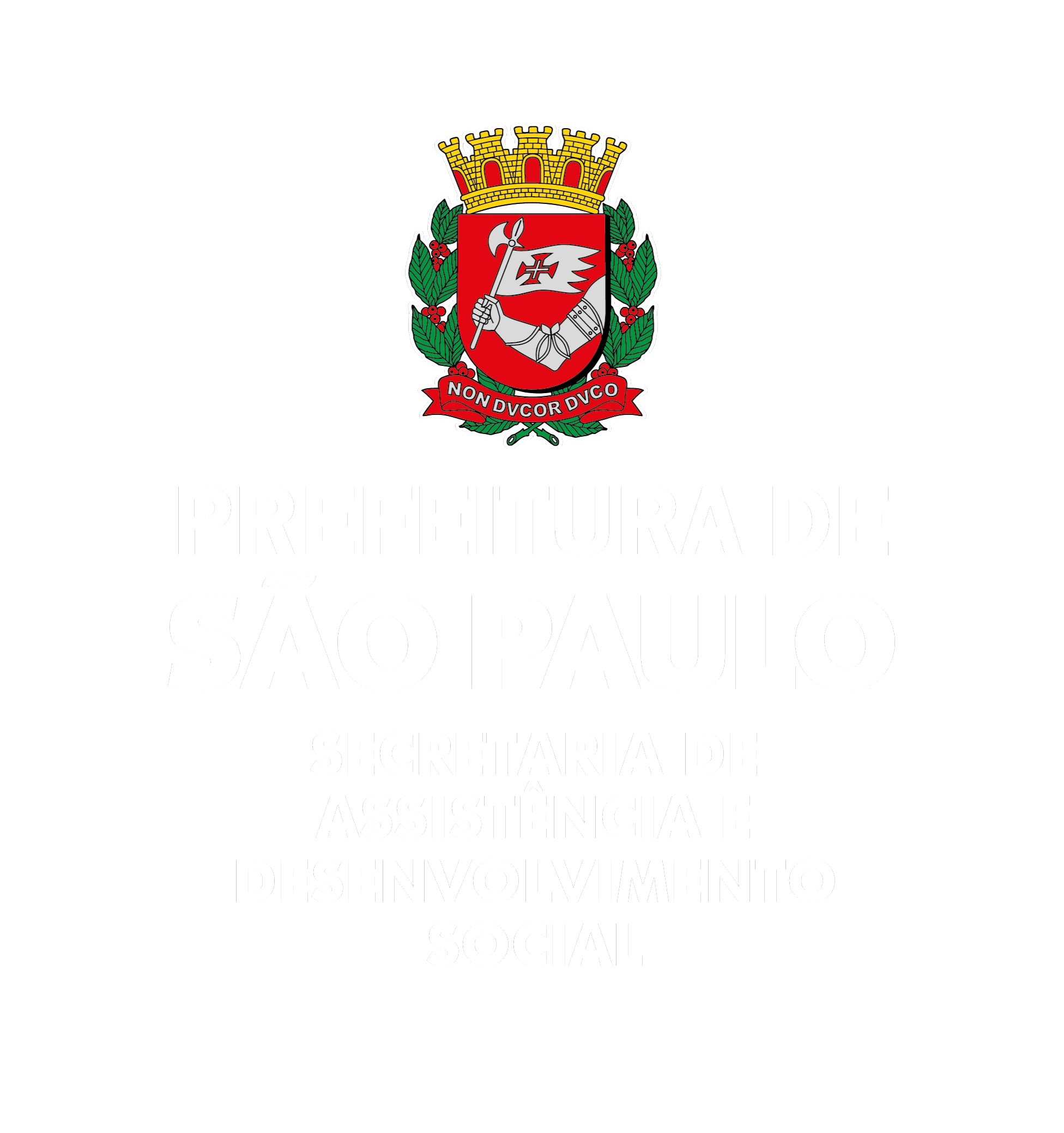 2 SECRET ASSIST E DESENV_SOCIAL_VERTICAL_FUNDO AZUL.png